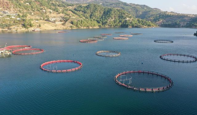 8 ayda 27 ülkeye su ürünü ihracatı