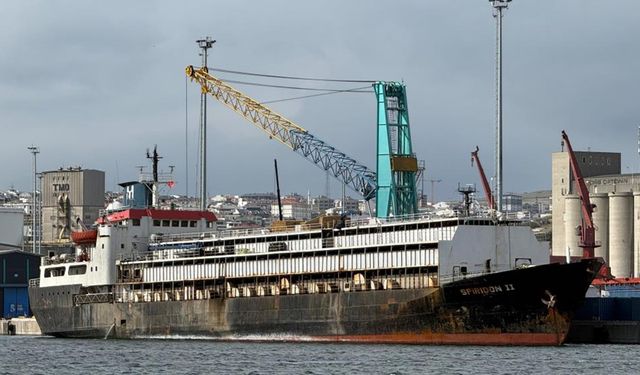 Çelebi Limanı'nda yeni kriz: İthal hayvanlar tahliye edilemedi