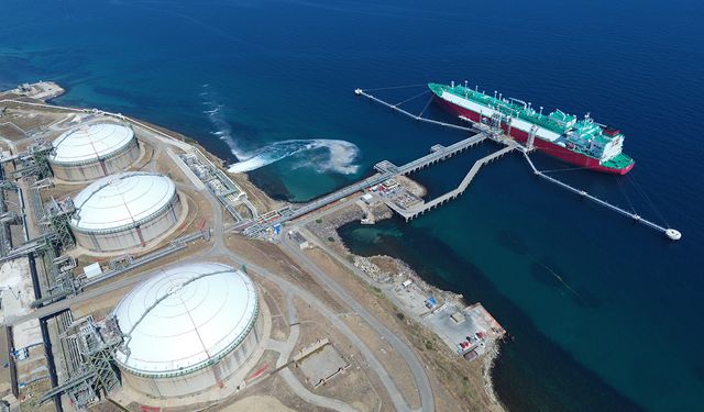 "İhtiyacımız olan doğal gazın yarısını LNG olarak gemilerle alabilir hale geldik"