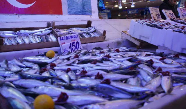 Hamsi zirvedeki yerini bıraktı