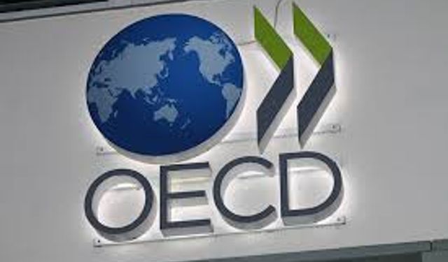 OECD, Türkiye'nin büyüme hızı tahminlerini yükseltti