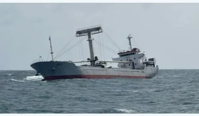 Vietnam ve Malezya, batan kargo gemisinden mürettebatı kurtarmak için koordine oldu