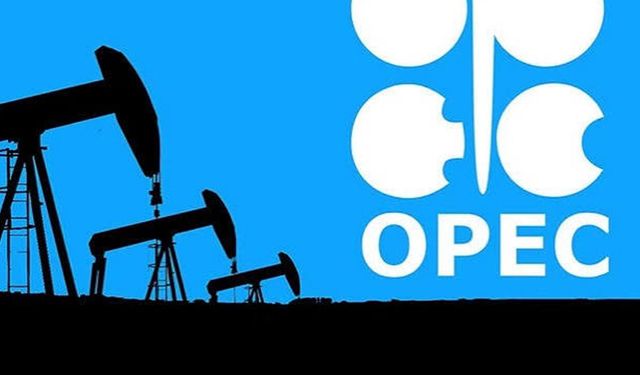 OPEC, küresel enerji tüketiminin 2050'de yüzde 23 artmasını bekliyor