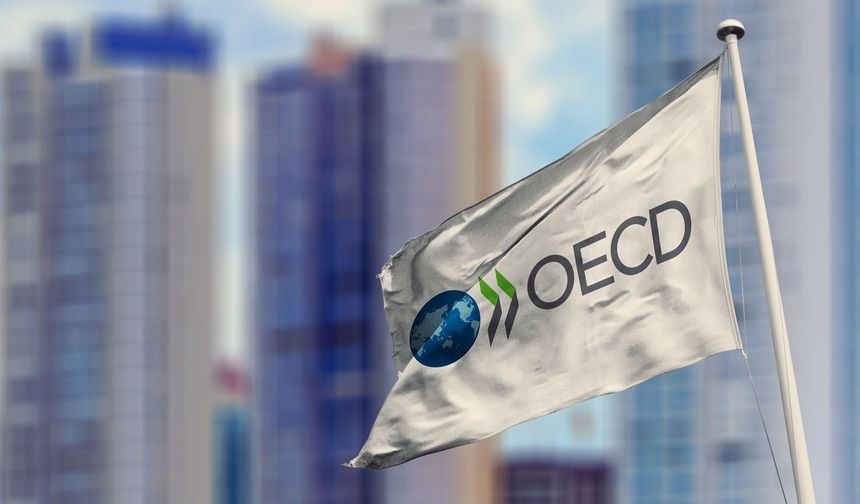 OECD, Türkiye için büyüme tahminini yüzde 2.8'e düşürdü