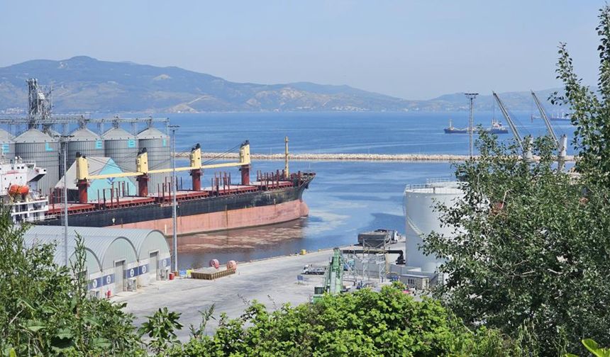 Bandırma Çelebi Limanı kirliliğe sebep oluyor