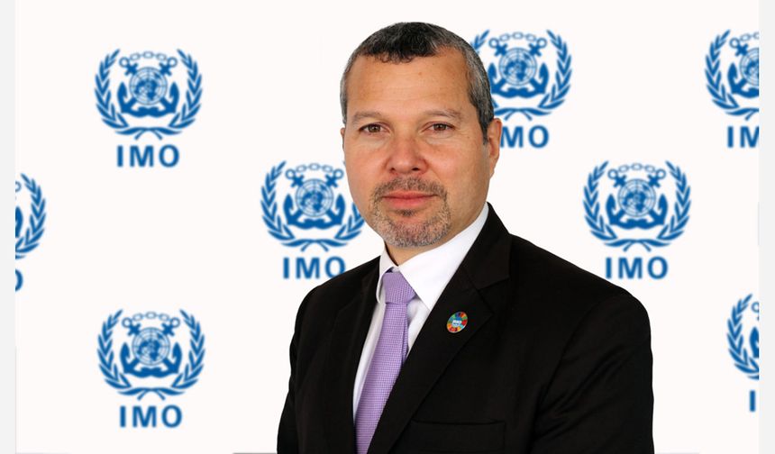 Kızıldeniz'deki saldırılar için IMO'dan diplomatik çözüm çağrısı