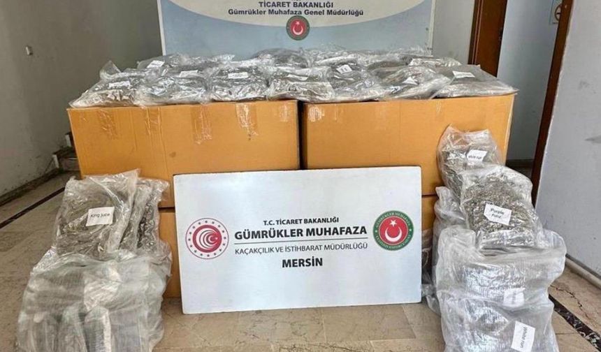 Mersin Limanı'nda 587 kilogram esrar ele geçirildi