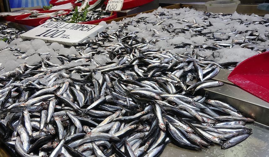 Hamside tehlike çanları çalıyor