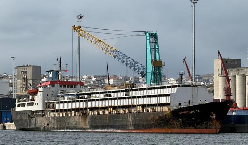 Çelebi Limanı'nda yeni kriz: İthal hayvanlar tahliye edilemedi