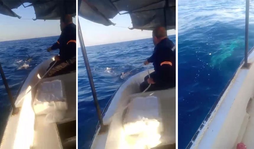 Çapa halatına dolanan köpekbalığı balıkçılara korku dolu anlar yaşattı