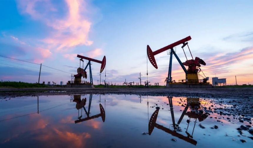 OPEC+'dan 'üretim artışı' kararı