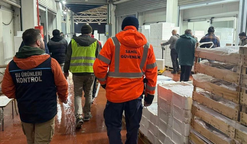 Bursa'da balık haline şafak operasyonu