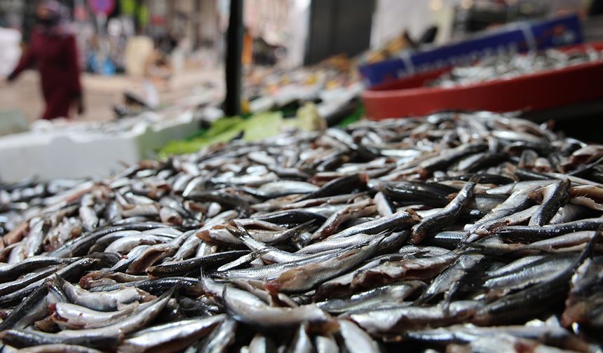 Havaların soğumasıyla balığa olan rağbeti arttı