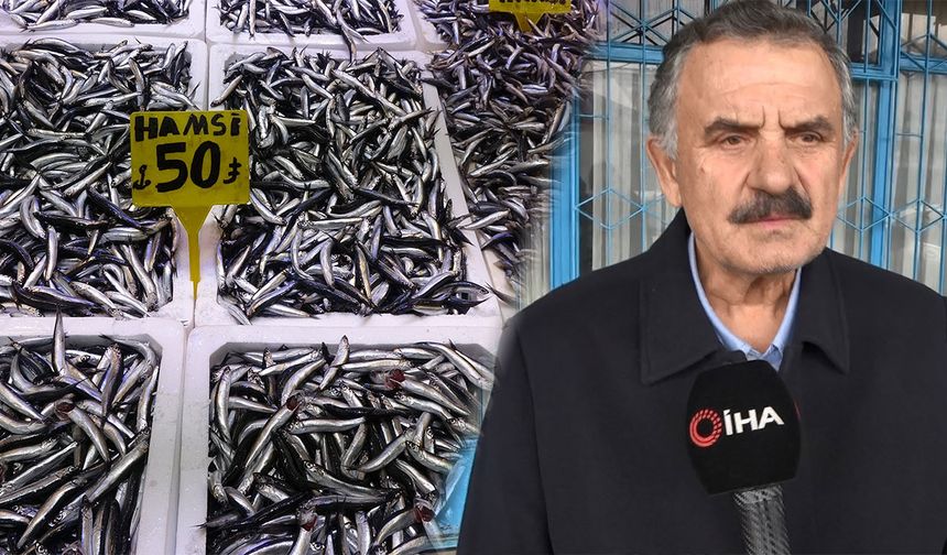 Recep Denizer: "Hamsi Türk karasularını terk etti"