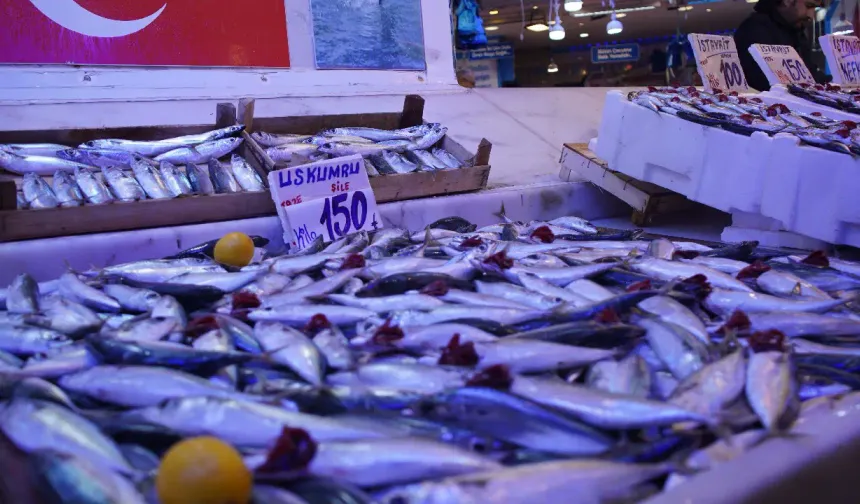 Hamsi zirvedeki yerini bıraktı