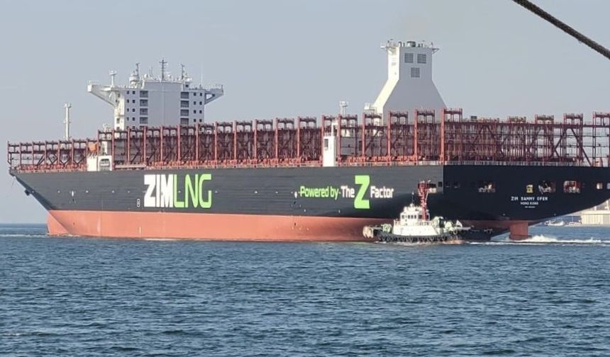 ZIM Entegre Nakliye Hizmetleri, yönetim krizinin eşiğinde