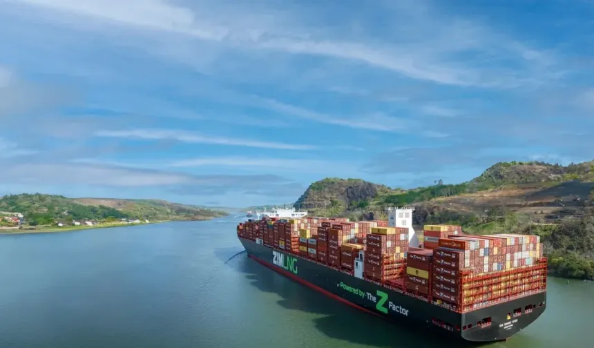 ISS, Zim'in yönetim kurulu mücadelesine dahil oldu