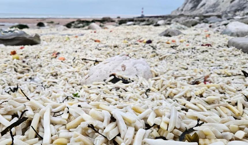 Sahil binlerce patates ve soğanla doldu