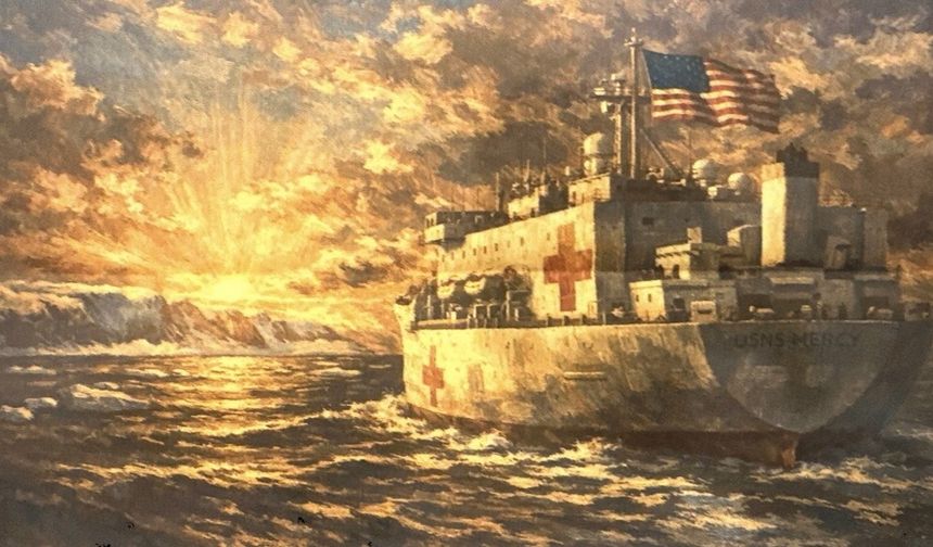 ABD'den Grönland'a hastane gemisi