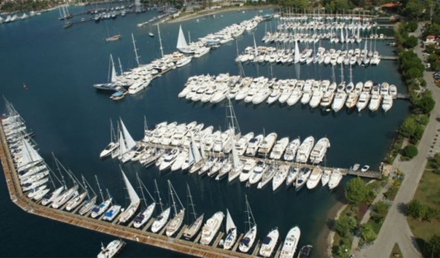 CVC Capital, D-Marin'i satıyor