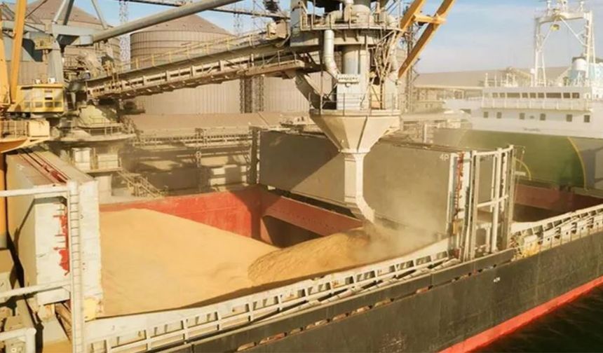 Deniz yoluyla taşınan tahılda rekor