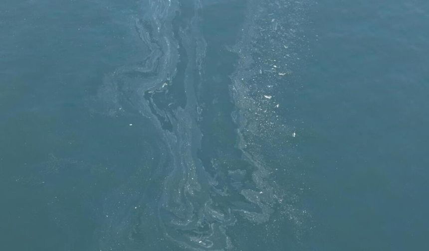 İzmir Körfezi'nde yine kirlilik tespit edildi
