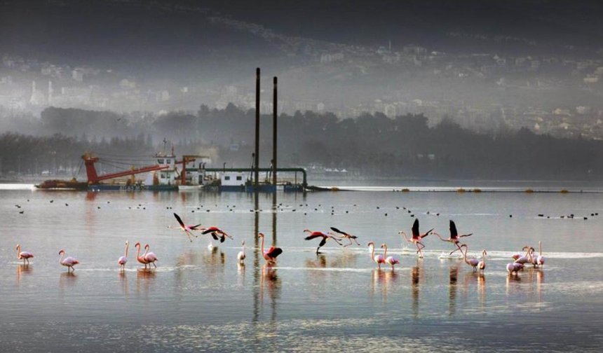 İzmit Körfezi'nden 1,8 milyon metreküp çamur çıkarıldı