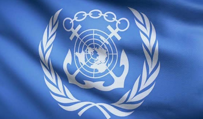 IMO'dan sahte bayrağa karşı denetim hamlesi