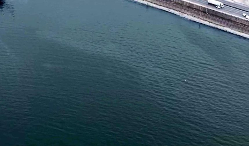 İzmir Körfezi’nde kirlilik alarmı