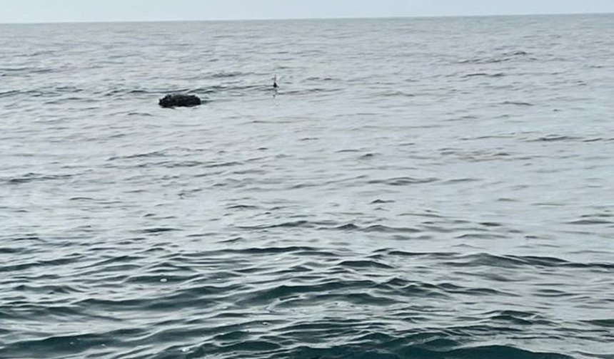 Kırklareli açıklarında tespit edilen mayın imha edildi