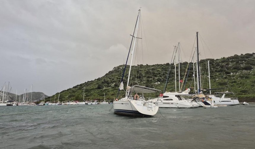 Bodrum'da 2 tekne karaya oturdu