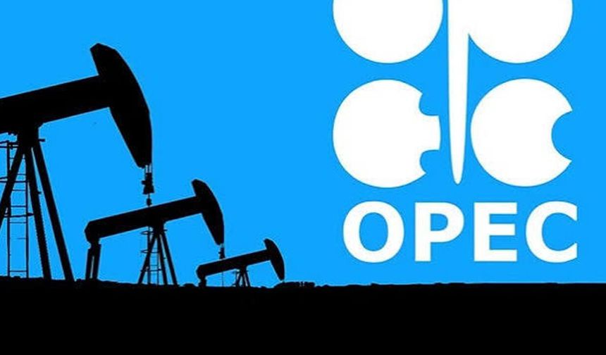 OPEC, küresel enerji tüketiminin 2050'de yüzde 23 artmasını bekliyor