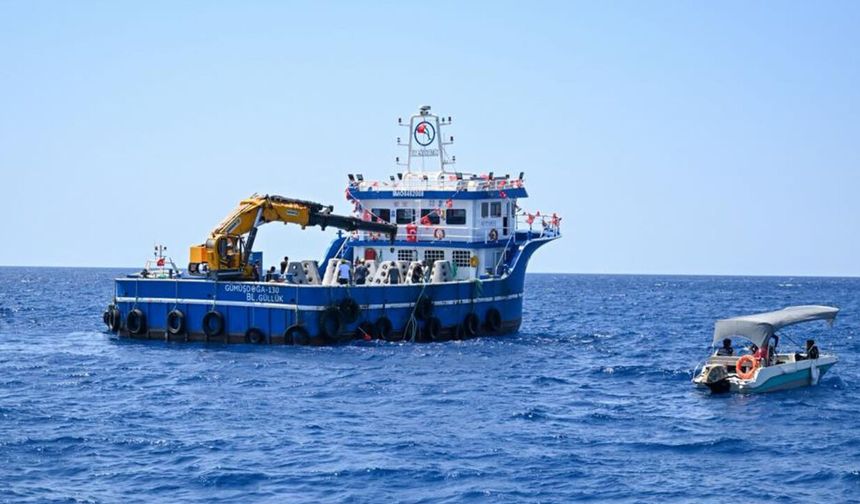 Antalya'da 50 yapay resif denize indirildi