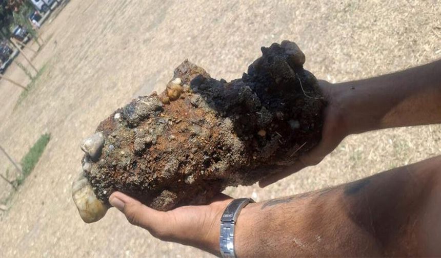 Çanakkale'de plajda patlamamış askeri mühimmat bulundu