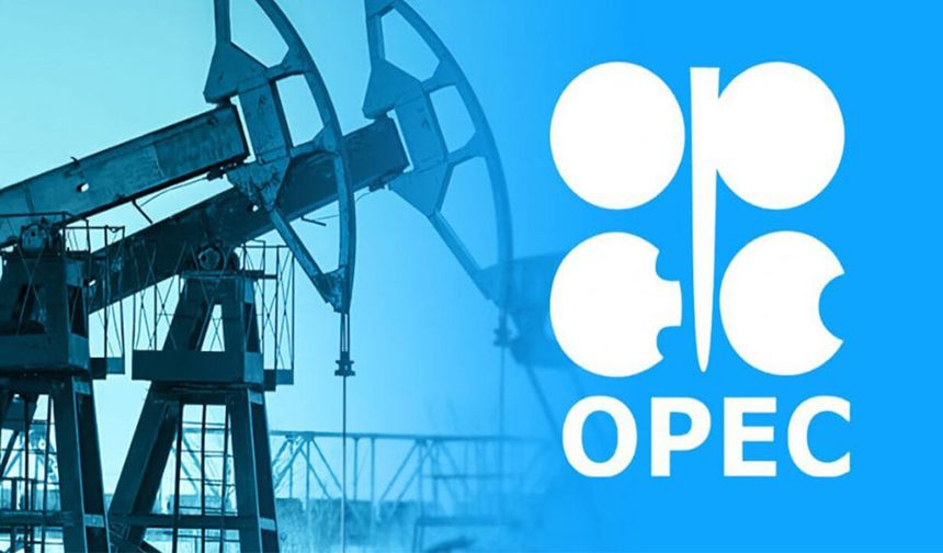 OPEC+ kota artışına ara vermeyi planlıyor