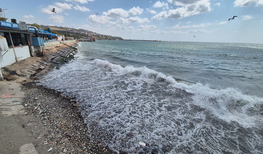 Marmara'da deniz ulaşımına poyraz engeli