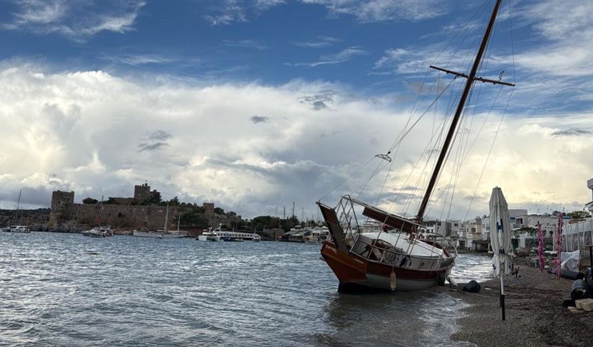 Bodrum'da 2,5 milyon TL'lik yelkenli karaya oturdu