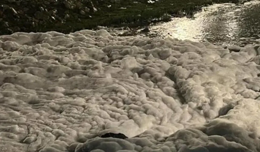 Kocaeli’de deniz kirliliğine 1,6 milyon TL ceza