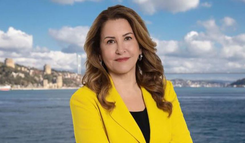 Şadan Kaptanoğlu'ndan meclis üyelerine açık mektup