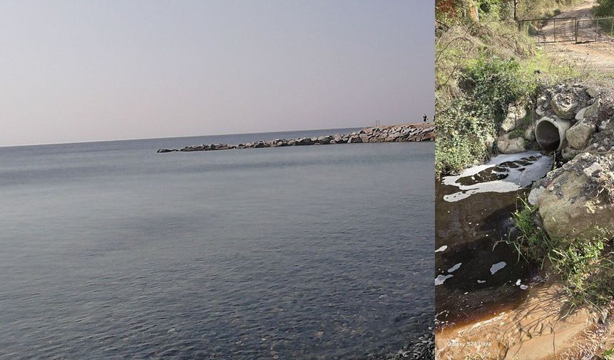 Marmara'da kirliliğe neden olan Yalova Katı Atık Birliği’ne 5 milyon lira ceza