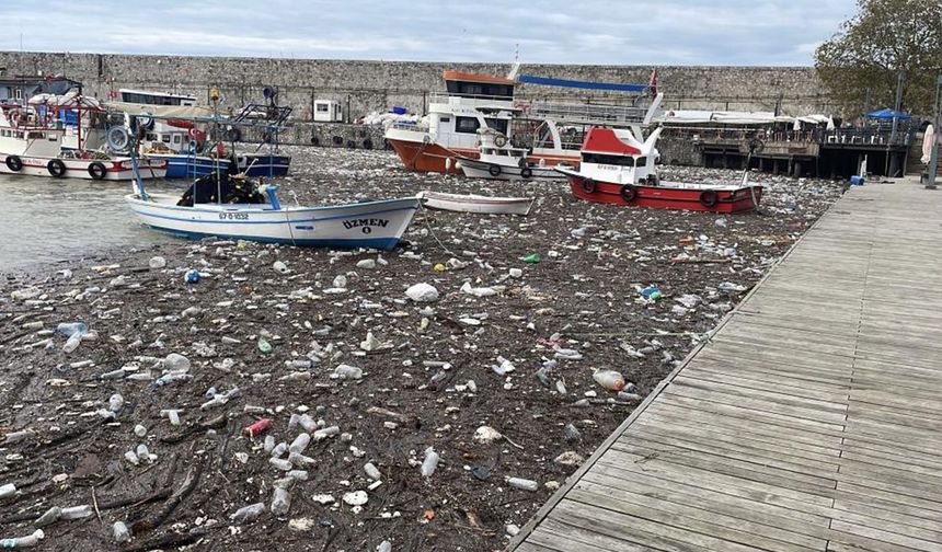Zonguldak Limanı çöplüğe döndü